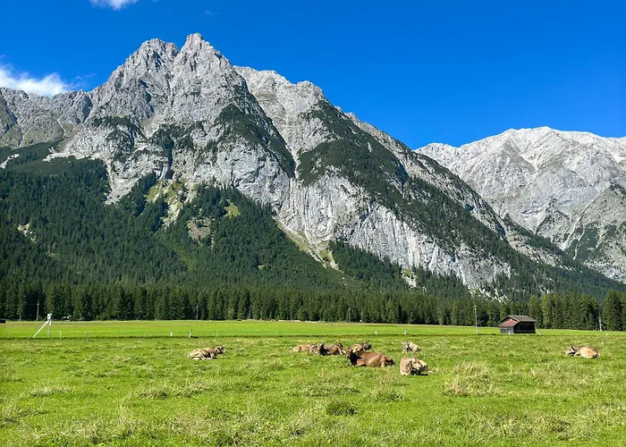 Farma Ahrnerhof Leutasch