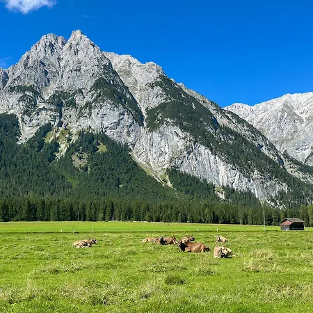 Lantgård Ahrnerhof Leutasch